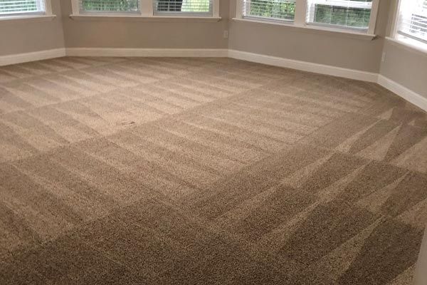 Carpet cleaning by Cleaning Solutions
