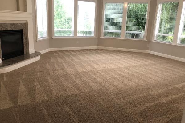 Carpet cleaning by Cleaning Solutions