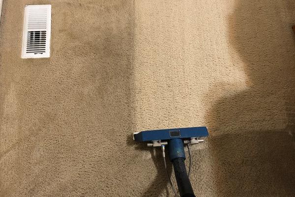 Carpet dirt and stain removal