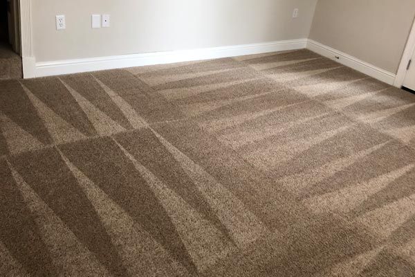 Carpet cleaning by Cleaning Solutions