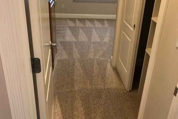 Clean carpets by Cleaning Solutions