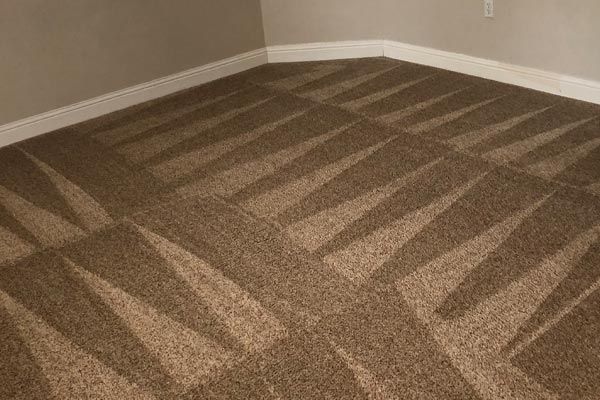 Carpet cleaning by Cleaning Solutions