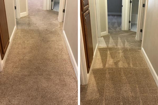 Carpet cleaning before and after by Cleaning Solutions